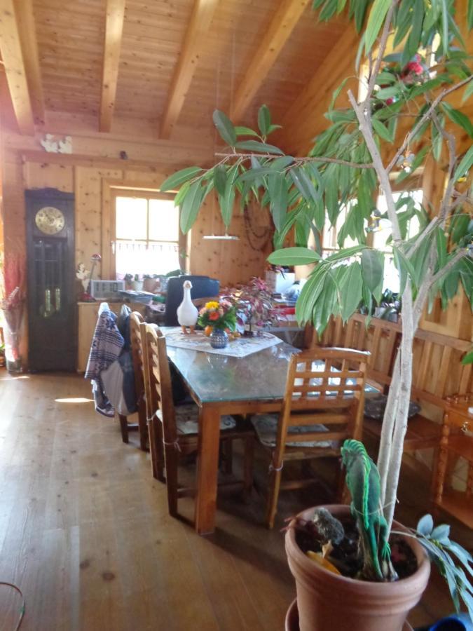 Barrierefreies Zimmer Im Blockhaus Mit Sauna Am See Soyen 外观 照片